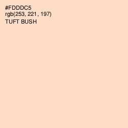 #FDDDC5 - Tuft Bush Color Image